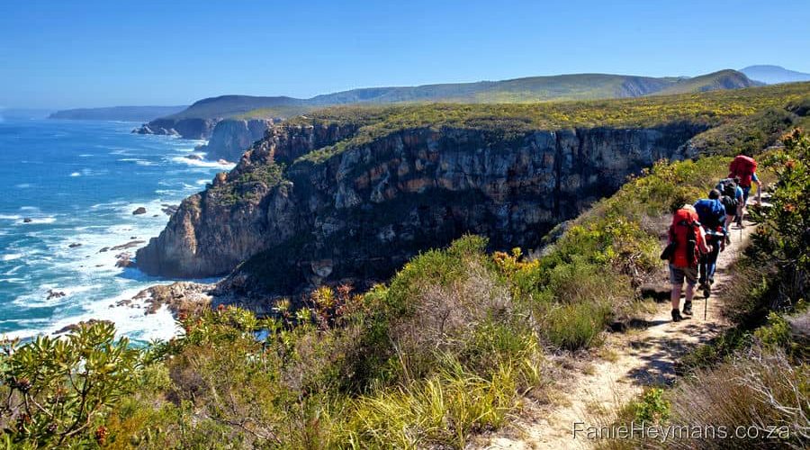 The Otter Trail: South Africa’s Ultimate Coastal Hiking Experience